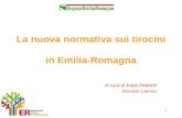 1 La nuova normativa sui tirocini in Emilia-Romagna A cura di Katia Pedretti Servizio Lavoro.
