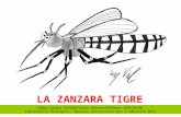LA ZANZARA TIGRE Filippo Cassina, Christian Valorzi, Romano Kohlmayer, Edith Bucher Laboratorio Biologico, Agenzia provinciale per l’ambiente 2014.