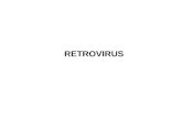 RETROVIRUS. Retrovirus Sono generalmente parassiti benigni (infezione non citopatiche, cronica per molti anni in poche cellule, controllata dalla risposta.