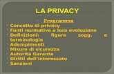 Programma  Concetto di privacy  Fonti normative e loro evoluzione  Definizioni: figure sogg. e terminologie  Adempimenti  Misure di sicurezza