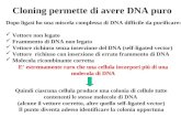 Cloning permette di avere DNA puro Dopo ligasi ho una miscela complessa di DNA difficile da purificare: Vettore non legato Frammento di DNA non legato.
