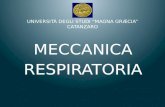 MECCANICA RESPIRATORIA UNIVERSITÀ DEGLI STUDI “MAGNA GRÆCIA” CATANZARO.