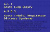 A.L.I. Acute Lung Injury A.R.D.S. Acute (Adult) Respiratory Distress Syndrome Patologie che oggi si estrinsecano perché esiste la rianimazione. Un tempo.