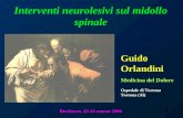 1 Interventi neurolesivi sul midollo spinale Bertinoro, 22-24 marzo 2006 Guido Orlandini Medicina del Dolore Ospedale di Tortona Tortona (Al)