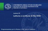 Lettura e scrittura di file RAW Lezione 20 Programmazione per la Musica | Prof. Luca A. Ludovico.