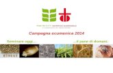 1 Campagna ecumenica 2014 Seminare oggi…...il pane di domani.