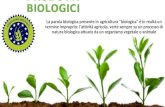 PRODOTTI BIOLOGICI La parola biologica presente in agricoltura "biologica" è in realtà un termine improprio: l'attività agricola, verte sempre su un processo.