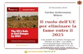 25 Novembre 2014 Caritas Ambrosiana Milano - Il ruolo dell’UE per eliminare la fame entro il 2025 Uno studio di Caritas Europa sul ”Diritto al Cibo”, con.