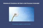 Sistema di Gestione dei Dati e dei Processi Aziendali Processo paghe e personale.