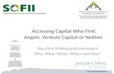 Accessing Capital Who First:Angels, Venture Capital or Neither