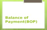 Balance of Payment(BOP)