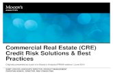 Commercial Real Estate Credit Risk Solutions and Best Practices