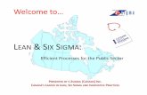Lean Six Sigma Webinar Efficient Processes For The Public Sector