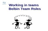 Belbin team-roles-nov-2009