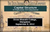 Capital structure b.v.raghunandan