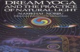 Dream yoga and the practice of natural light   namkhai norbu
