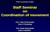 Y2 s2 locomotion seminar coordination 2011