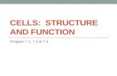 Biology Cell Structure and Function