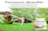 Turmeric Benefits