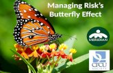 Meridian CPCU Managing Risk's Butterfly Effect