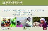 Women’s Empowerment in Agriculture Index (WEAI): Lessons for Water by Ruth Meinzen-Dick