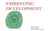 Embronic development for f.y