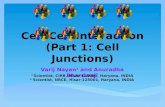 Cell-Cell Interaction (Part 1: Cell Junctions)