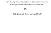 Introducing Peace Education In Cameroon Schools