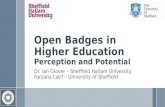 Open Badges in Higher Education - Perception and Potential