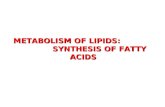Metabolism of lipids 1 2