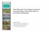 The Ramsar Convention and the Conservation and wise use of forested wetlands