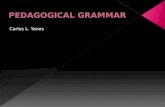 Pedagogical grammar