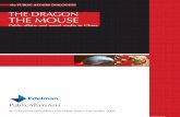 The Dragon & The Mouse - Public Affairs and Social Media in China