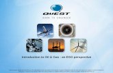 Introduction to Oil & Gas - an ESO perspective