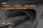 Tunnel Liners, Relines and Rehabilitation