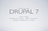 What's up with Drupal 7?