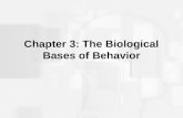 Chapter 3 - The Biological Bases of Behavior