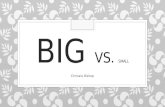 Big vs Small