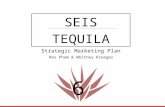 Seis Marketing Plan/ Product Launch
