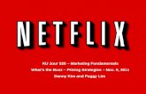 Netflix's Pricing Increase