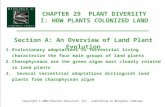 Ap29 plant diversity1
