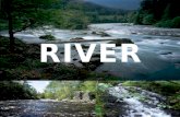 River  eco report