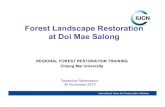 CHIANG MAI COURSE - Doi Mae Salong lesson / Tawatchai Rattanasorn