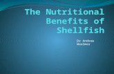 Andy Woolmer (Salacia Marine) – The Nutritional Benefits of Shellfish (2009)