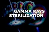 Gamma rays sterilization