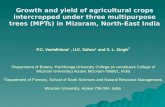 Session 2.3 growth & yield of intercropped   multipurpose trees in mizoram