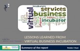 Triodos facet presentation on vritual business incubation for wb info dev
