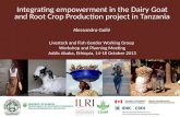 Integrating empowerment in the Dairy Goat and Root Crop Production project in Tanzania