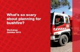 Mc Millan_Orsini_Workshop_What is so scary about planning for bushfire