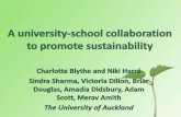 A university school collaboration, N Harre and C Blythe